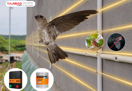 Hàng rào xung điện chống thiên địch bảo vệ nhà yến