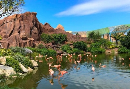 Dự án Vinpearlland Nha Trang