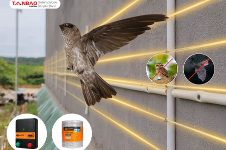 Hàng rào xung điện chống thiên địch bảo vệ nhà yến