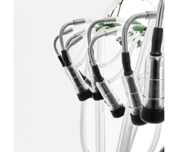 Cốc vắt sữa Capar