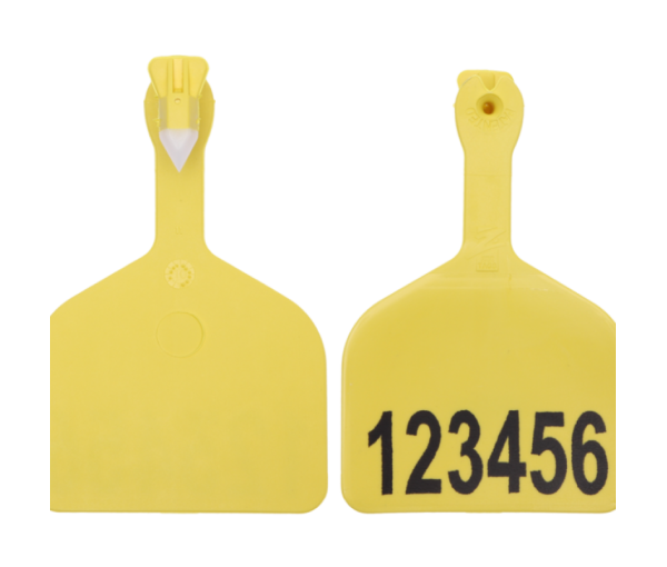 Thẻ tai ngắn hạn