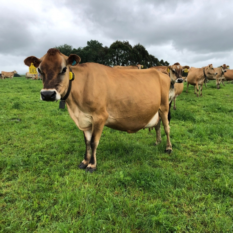 Điểm nổi bật của sản phẩm