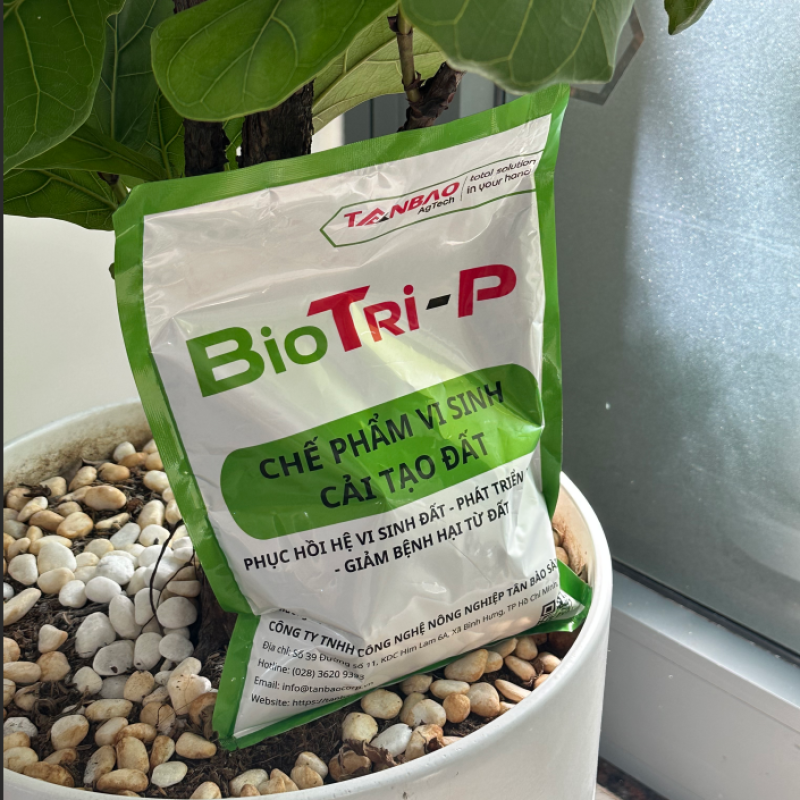 Lợi ích kinh tế khi sử dụng BioTri-P