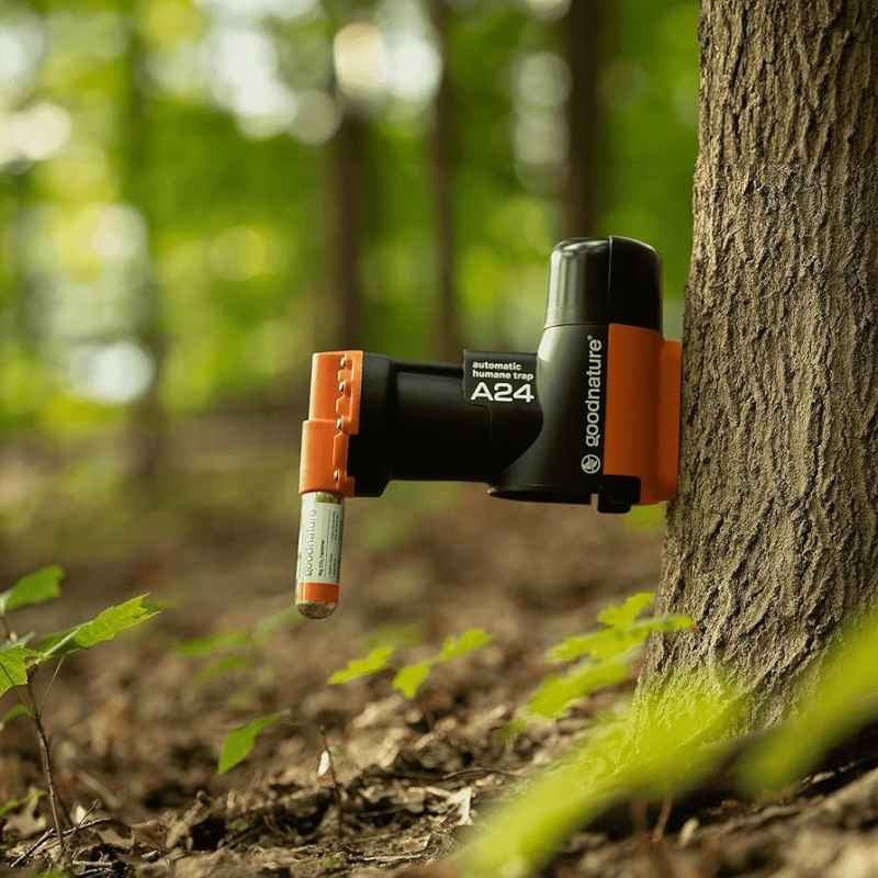 Ưu điểm nổi bật của bẫy chuột công nghệ mới