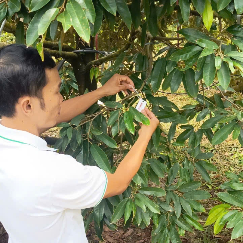 Liên hệ tư vấn