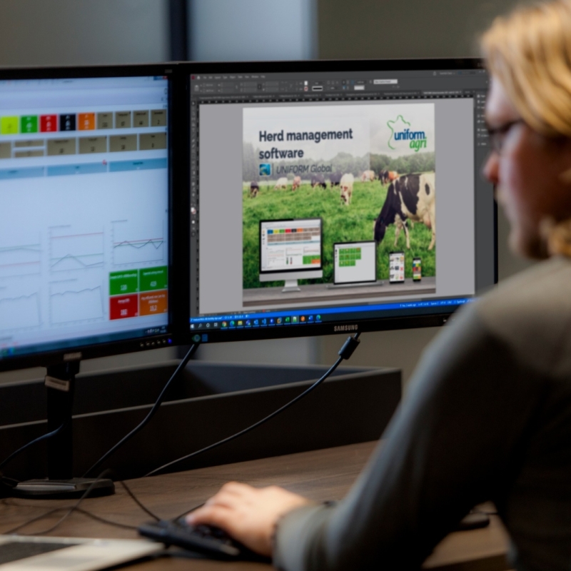 Tiêu chuẩn nổi bật