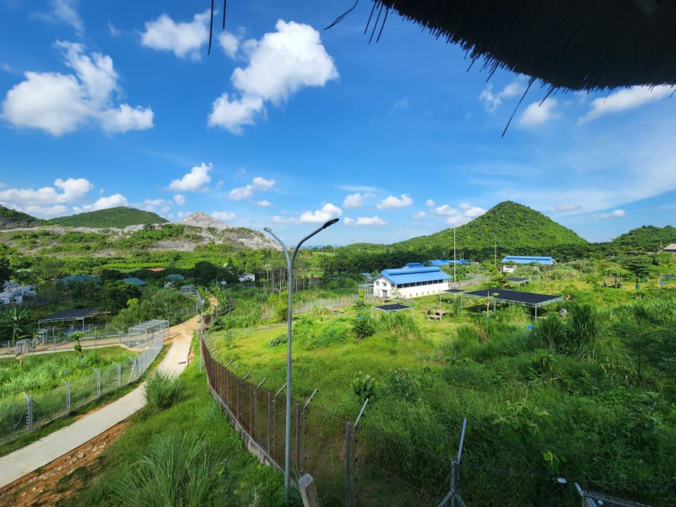 Hàng rào xung điện quản lý động vật