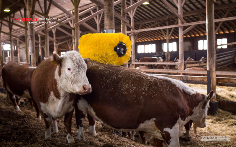 Bàn chải lưng cho bò EasySwing