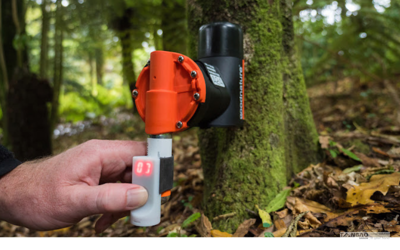 Giải pháp bẫy chuột 4.0