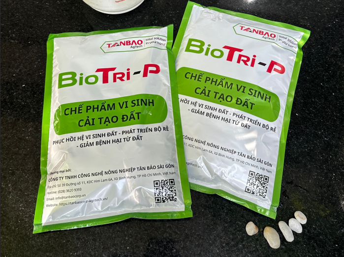 BioTri-P: Chế phẩm vi sinh cải tạo đất & phục hồi bộ rễ vượt trội